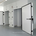 Walking Cold Room Storage Freezer Solar For Hot Selling